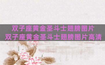 双子座黄金圣斗士翅膀图片 双子座黄金圣斗士翅膀图片高清